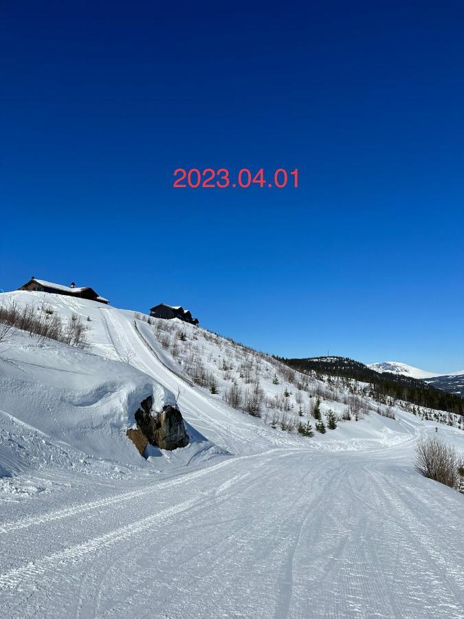 Perfect Moutain Getaway! Beautiful Apartment At Skagahogdi With Panoramic View غول المظهر الخارجي الصورة